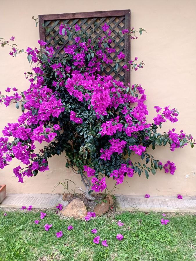 Casa Del Sol Apartman Villa de Leyva Kültér fotó